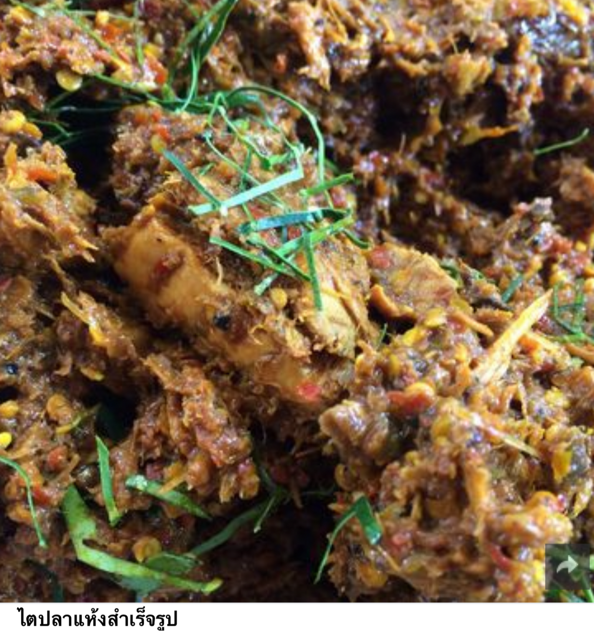 ไตปลาแห้งสำเร็จรูป - Tai Pla Curry Paste