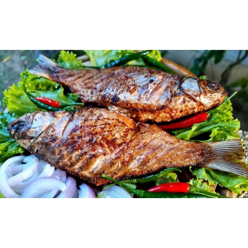 ปลาส้มสองตัว