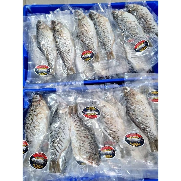 ปลาส้มสองตัว