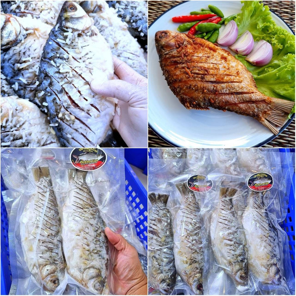 ปลาส้มสองตัว