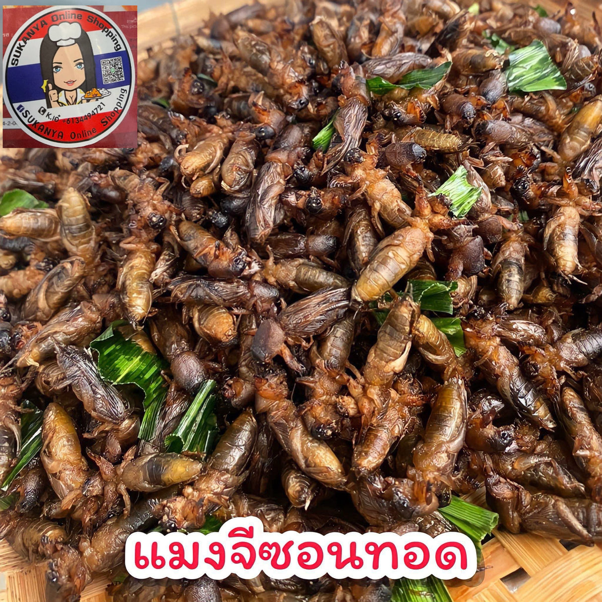 Le plus grand secret