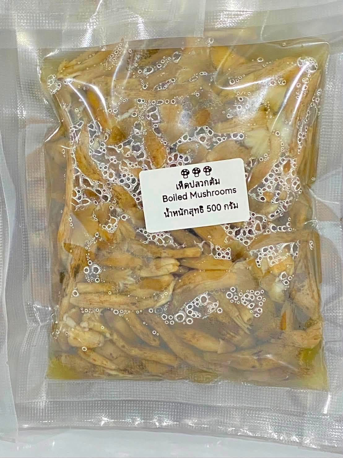 Mushroom-เห็ดปลวก