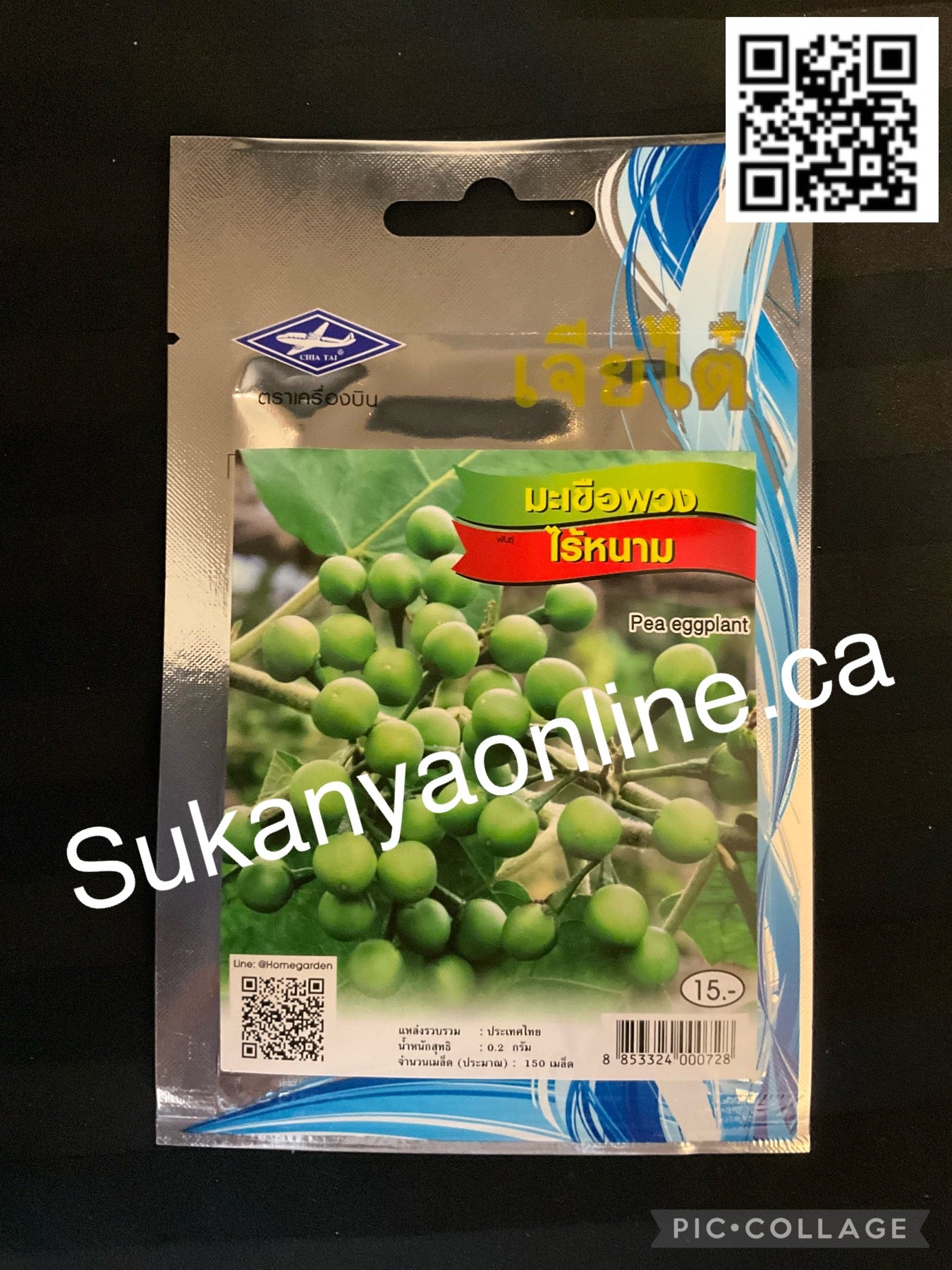 มะเขือพวงไร้เนย- เมล็ดมะเขือยาวถั่ว