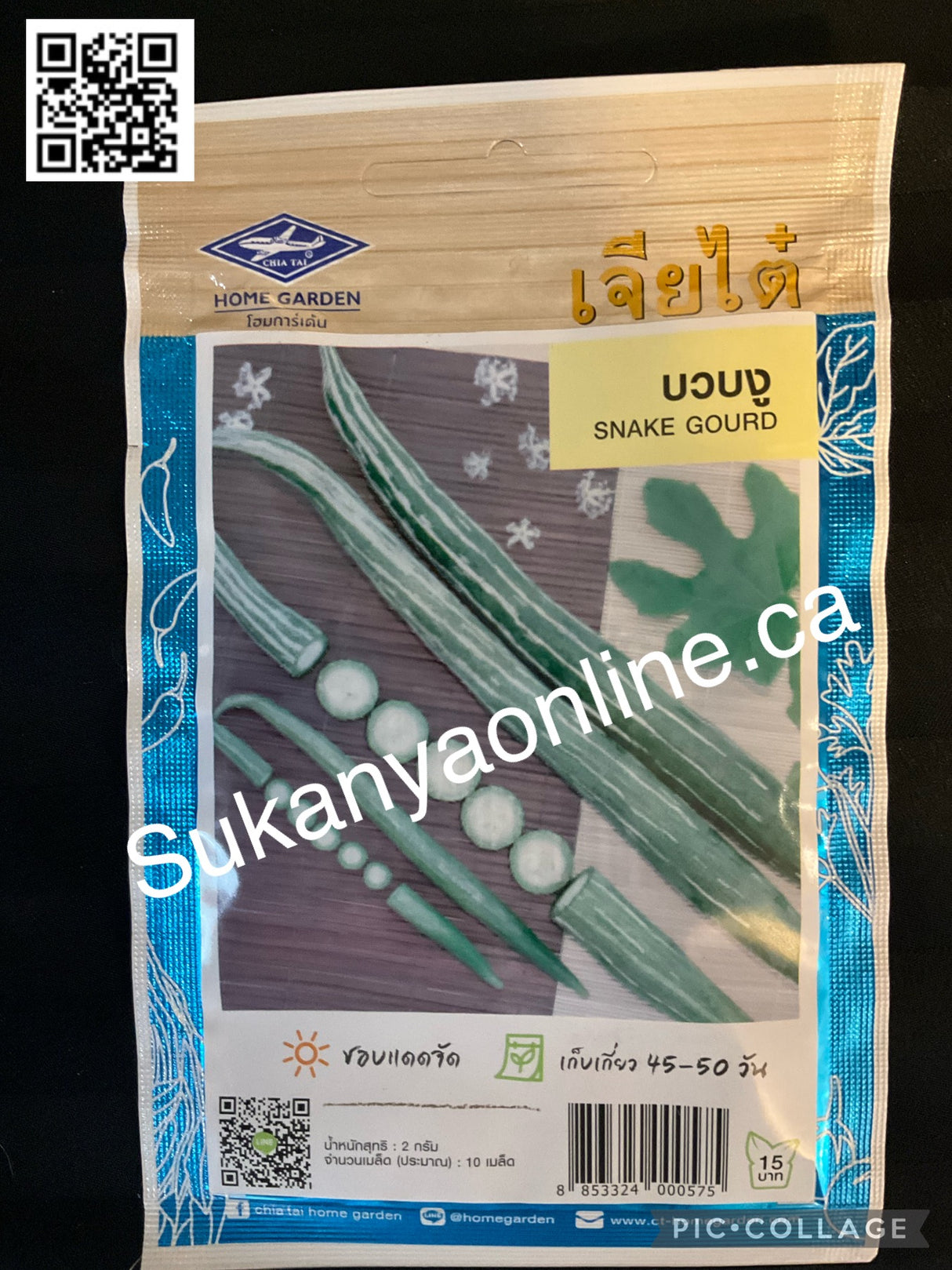 บวบงู - Snake Gourd seed