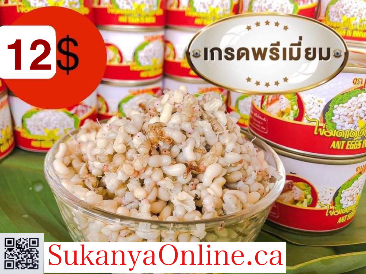 ไข่มดแดง - ไข่มดแดงกระป๋อง