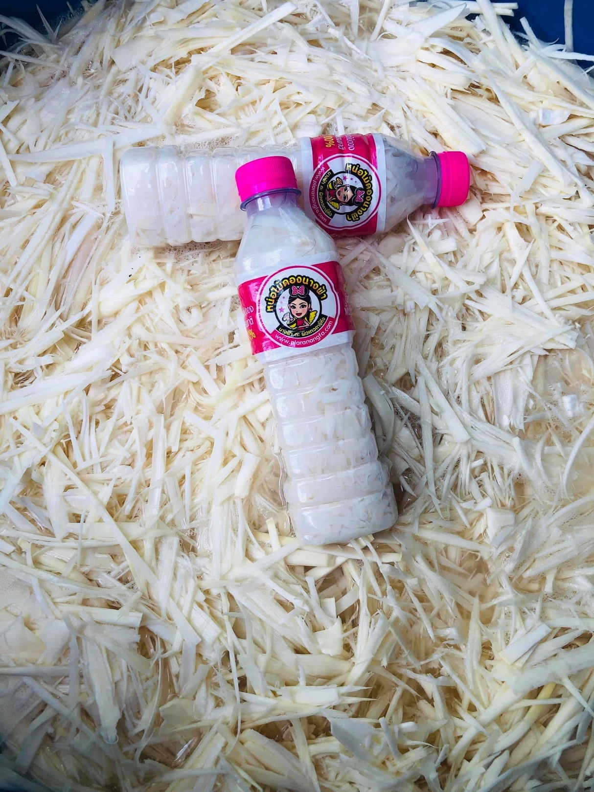 หน่อไม้_นางฟ้า- Pickled Bamboo Shoots