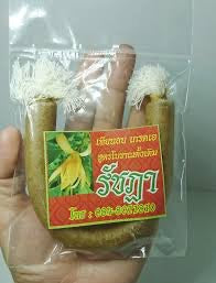 Big Candle for Food- เที่ยนอบอันใหญ่