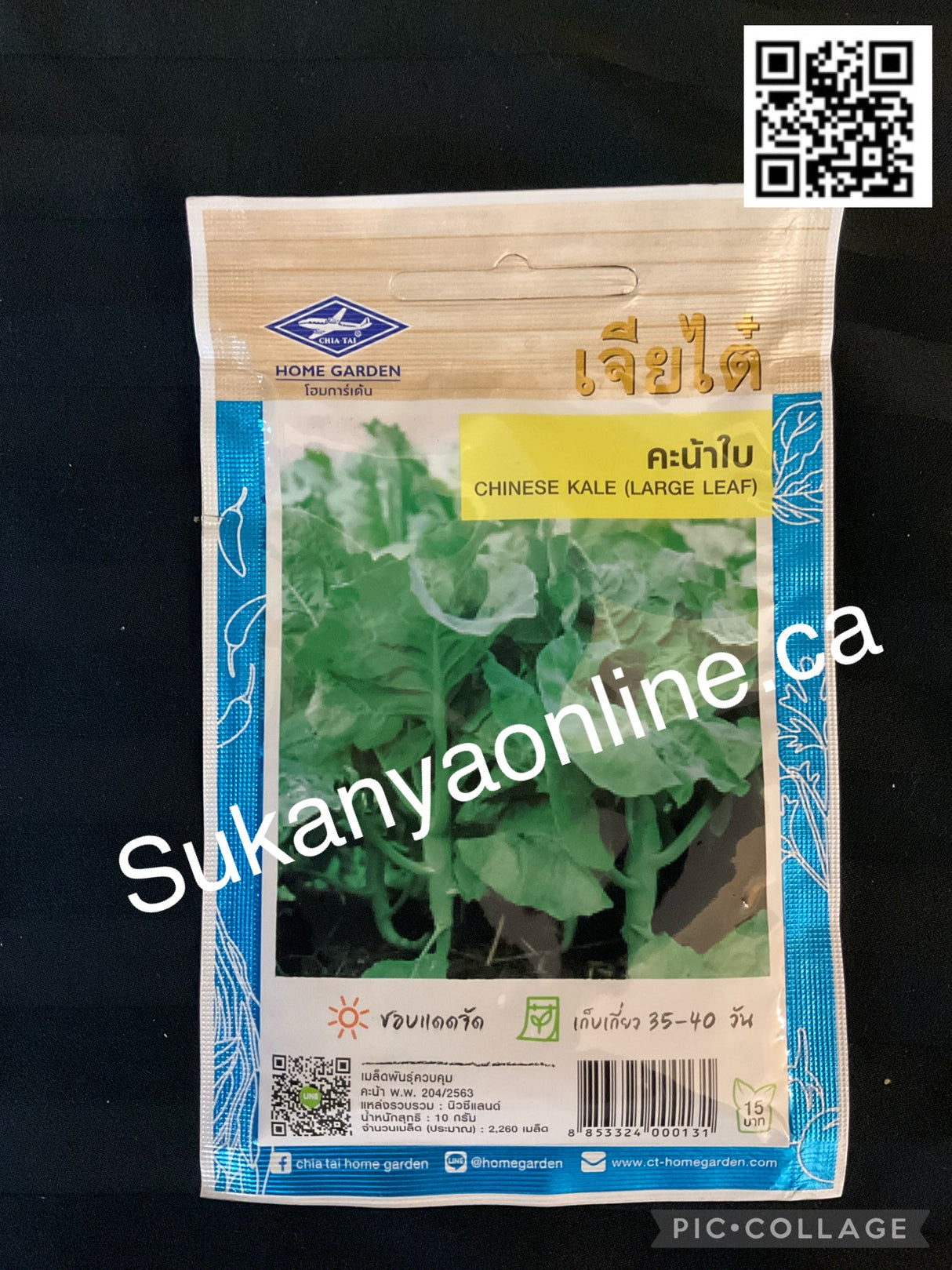 คะน้าใบ-Chinese kale seed