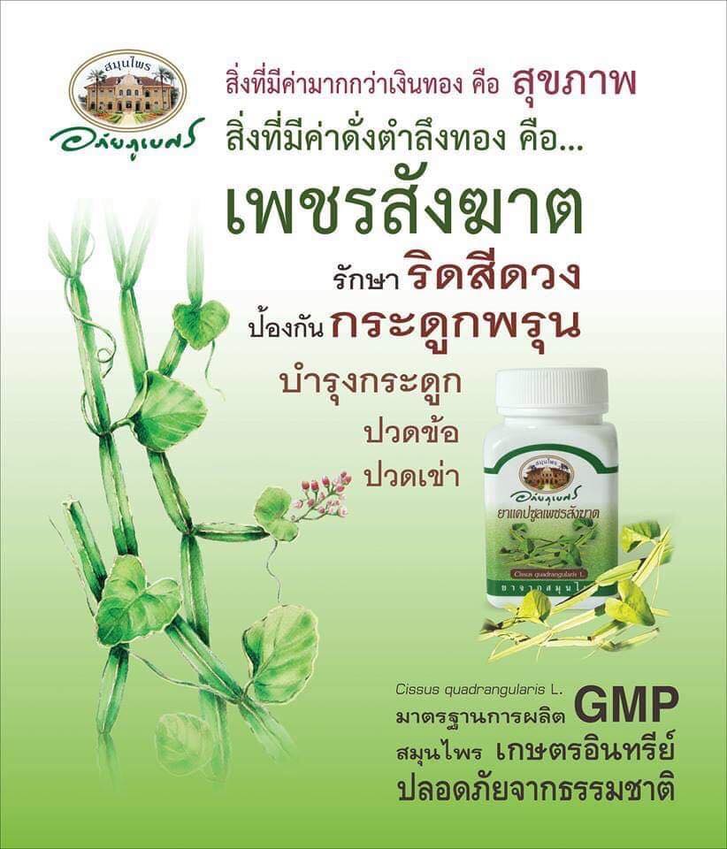 เพชรสังฆาต-อภัยภูเบศร