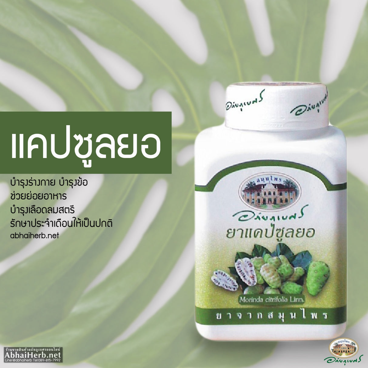 ยาแคปซูลยอ-อภัยภูเบศร