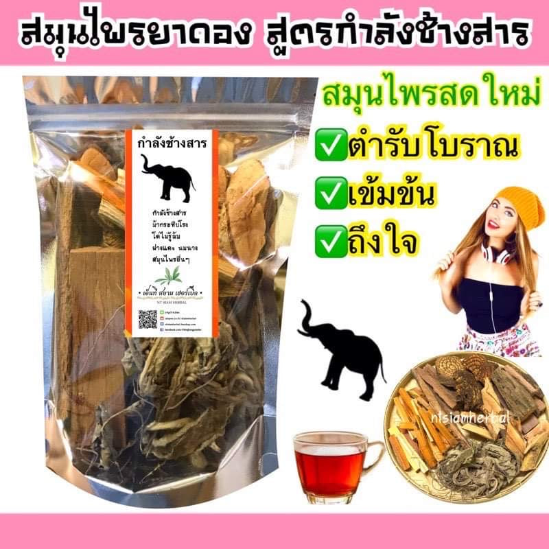 ยาดองเหล้ากำลังช้างสาร