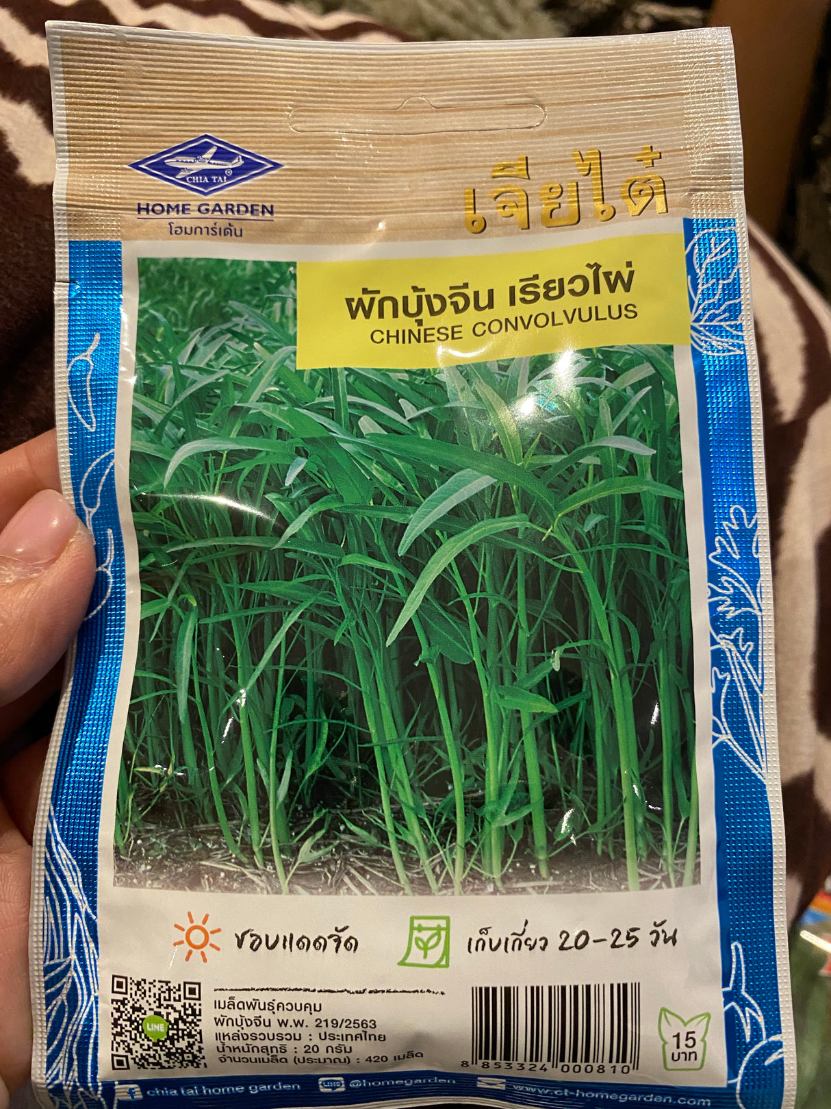 ผักบุ้งจีน เรียวไผ่ - Chinese Convolvulus seed