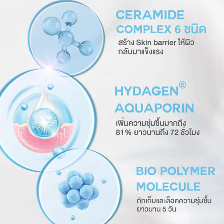 Sewa Crème hydratante pour le visage (sachet)