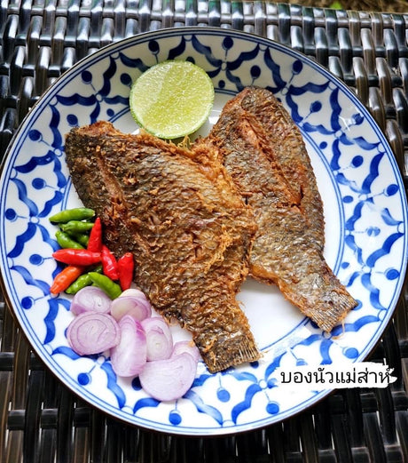 Bongnua Mae-Za Tilapia du Nil ferme, frit et sterilise (pla ra pla nin)