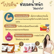 PerLeen-เพอร์ลีน โกโก้-โปรตีน