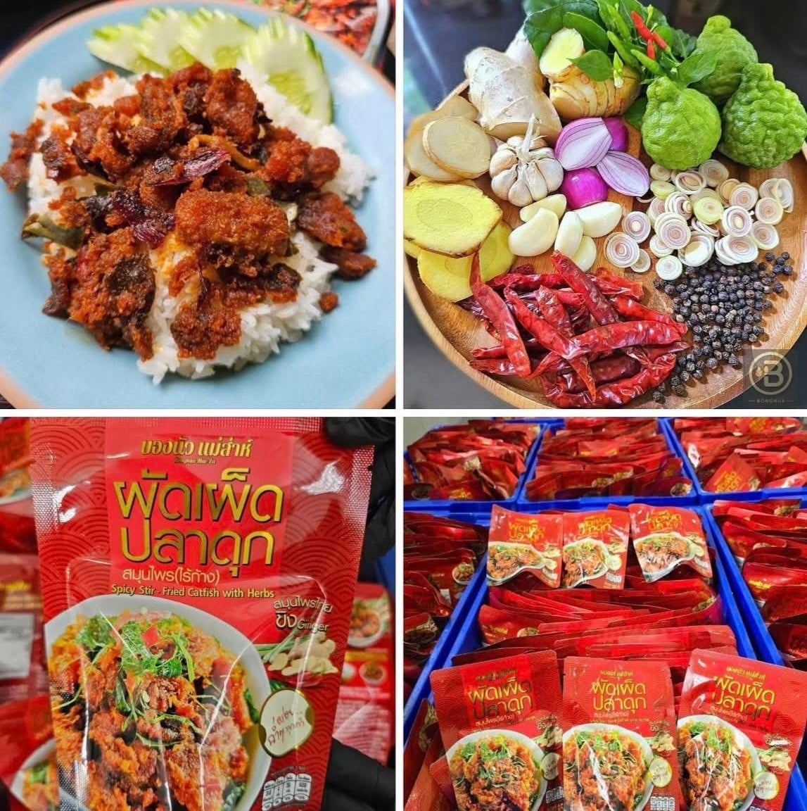 ผัดเผ็ดปลาดุกสมุนไพร(ไร้ก้าง)-บองนัว
