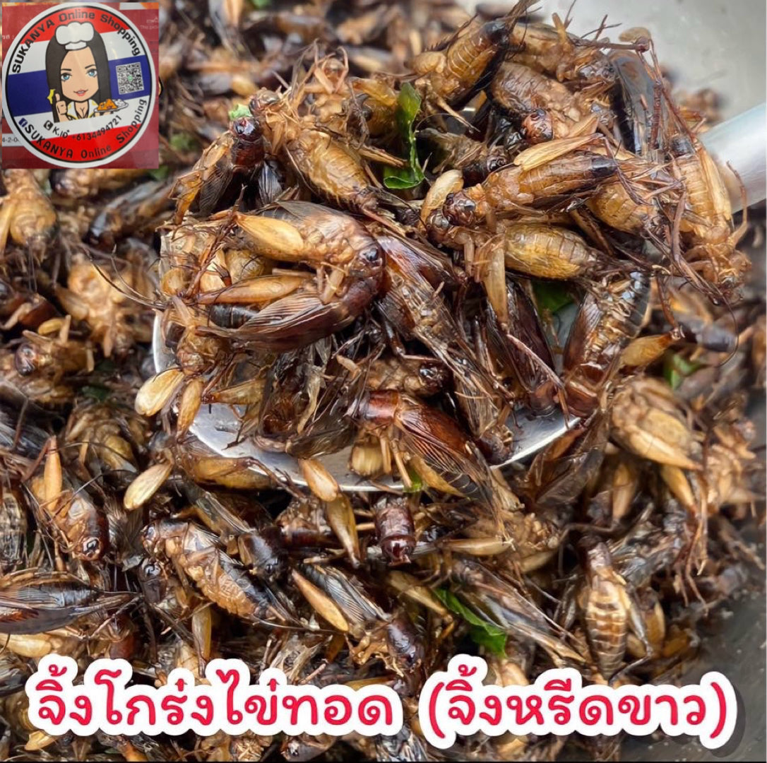 จิ้งโกร่งไข่ 120 กรัม