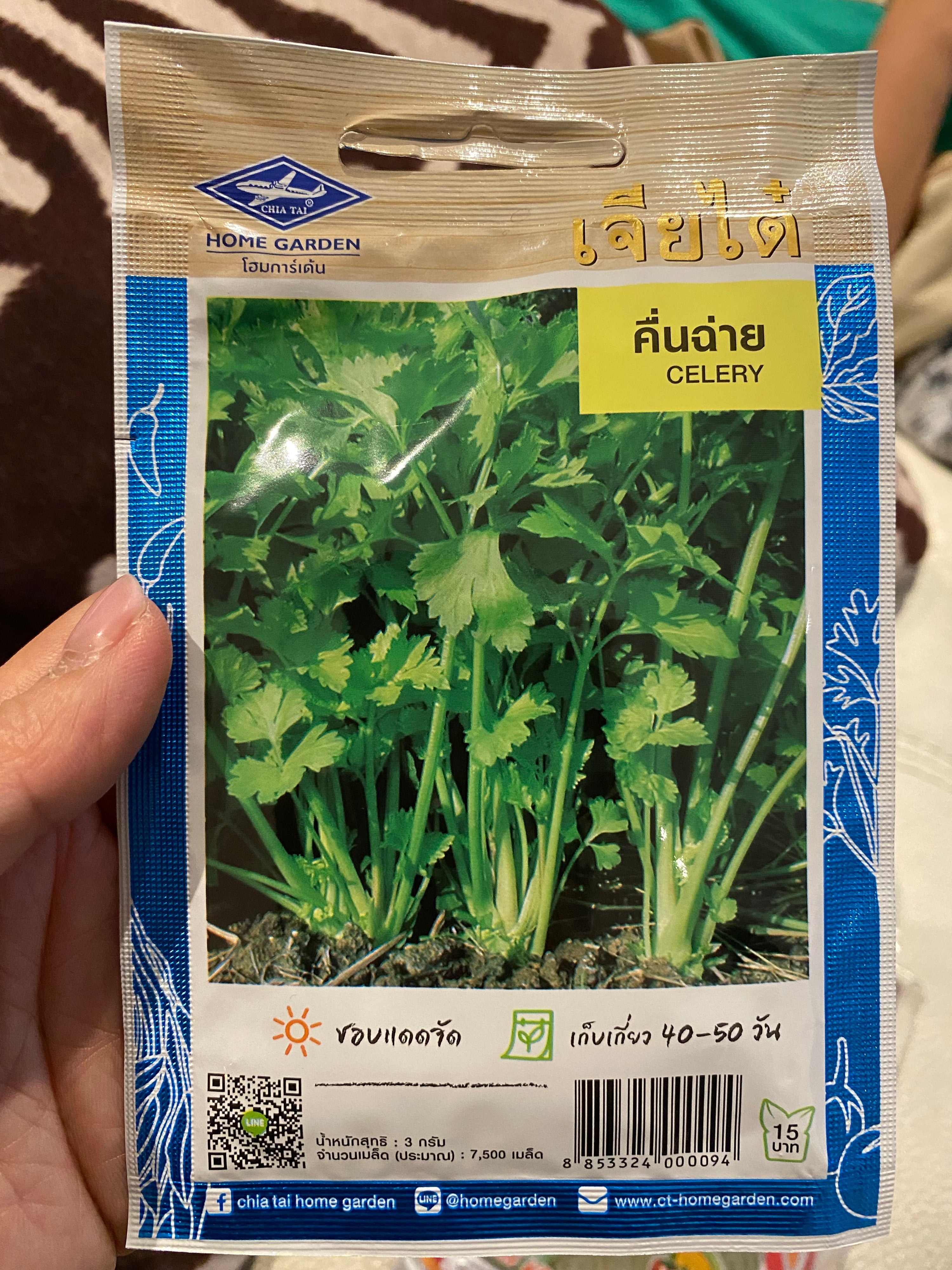 คื่นฉ่าย-Celery seed