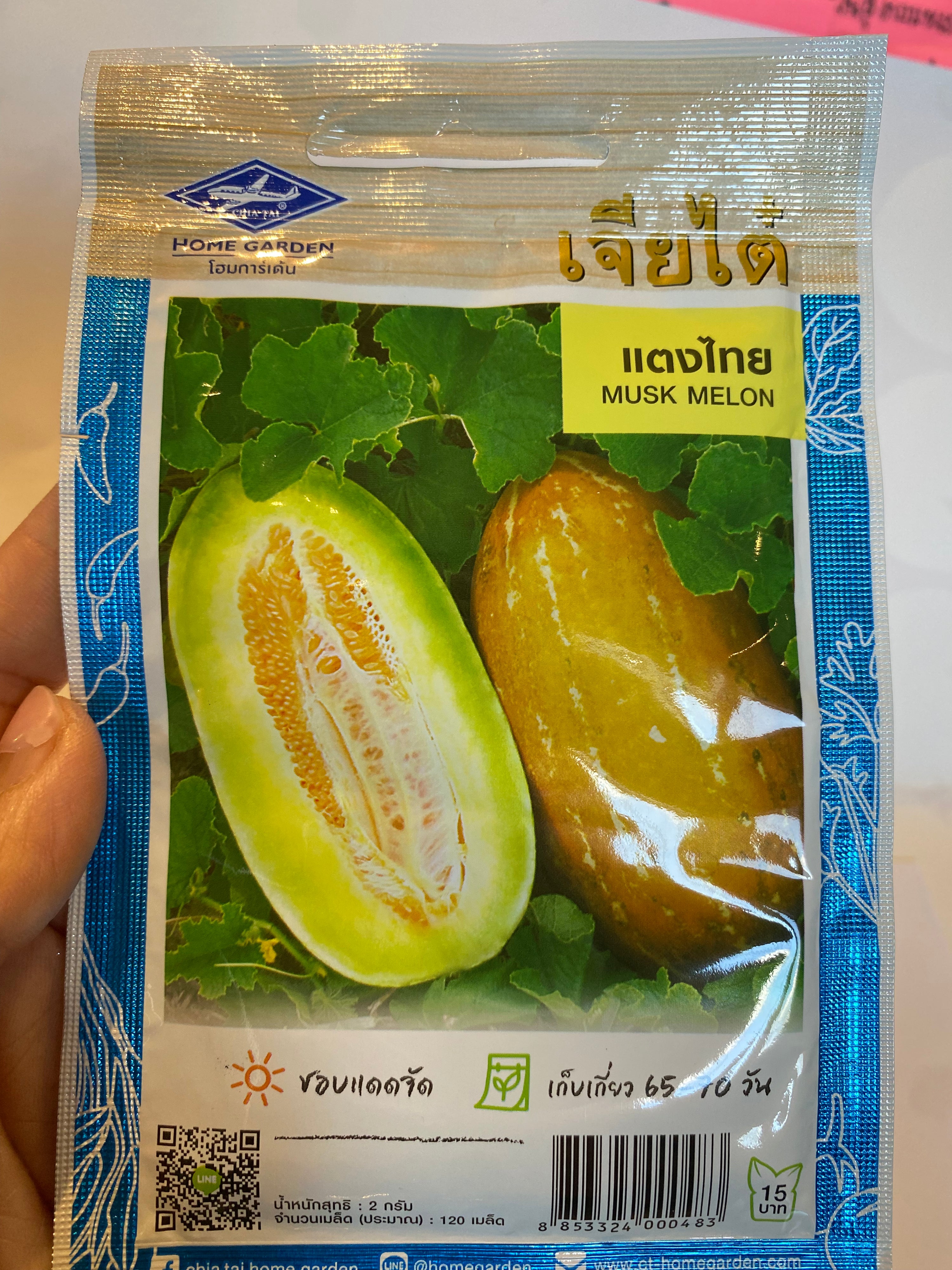 แตงไทย-Musk Melon seed