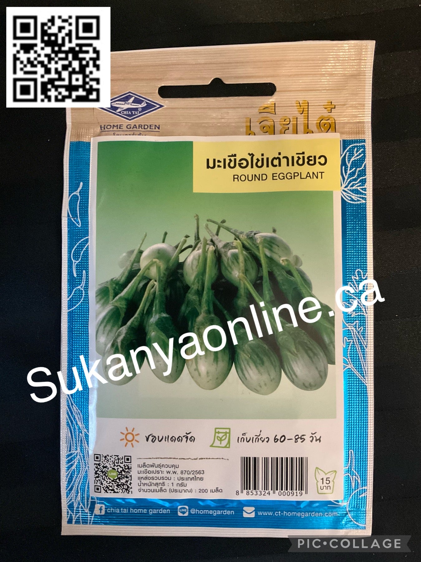 มะเขือไข่เต่าเขียว -Round eggplant seed