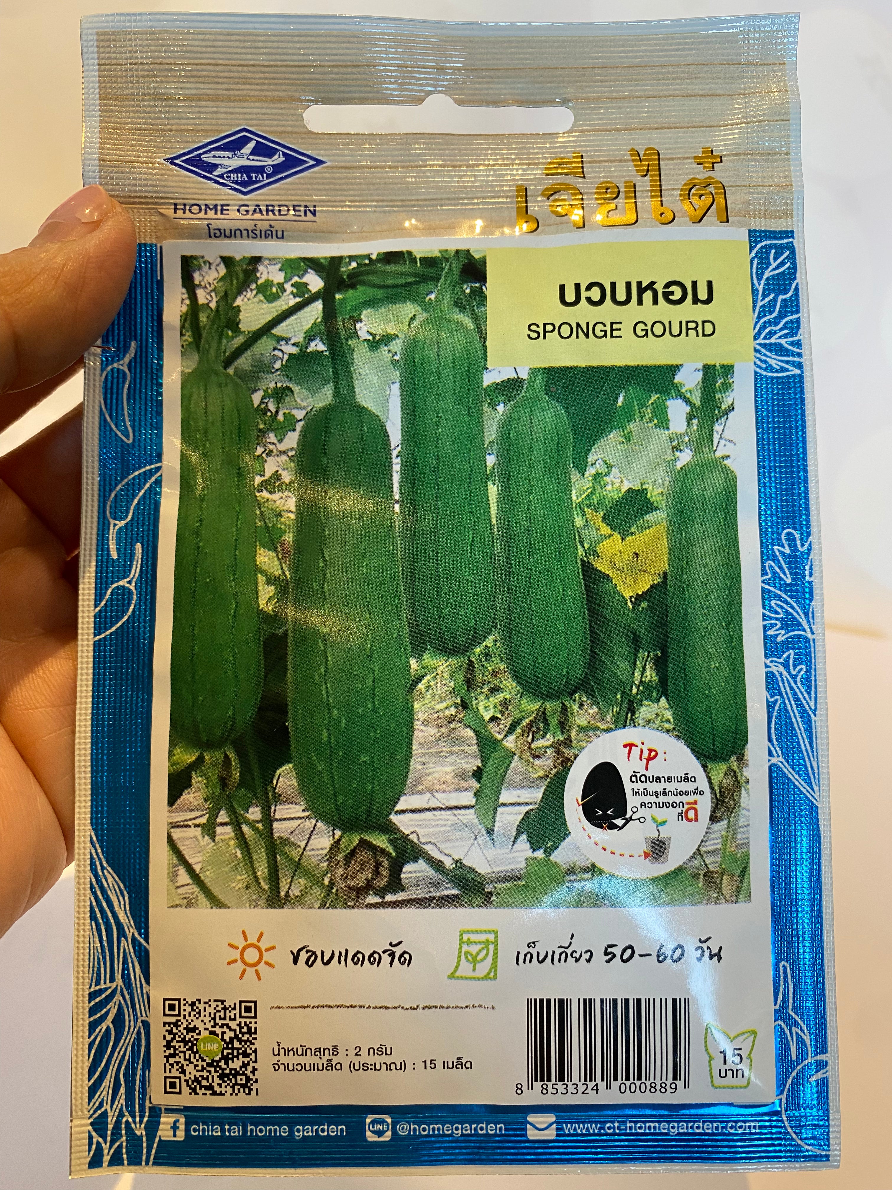 บวบหอม-Sponge gourd seed