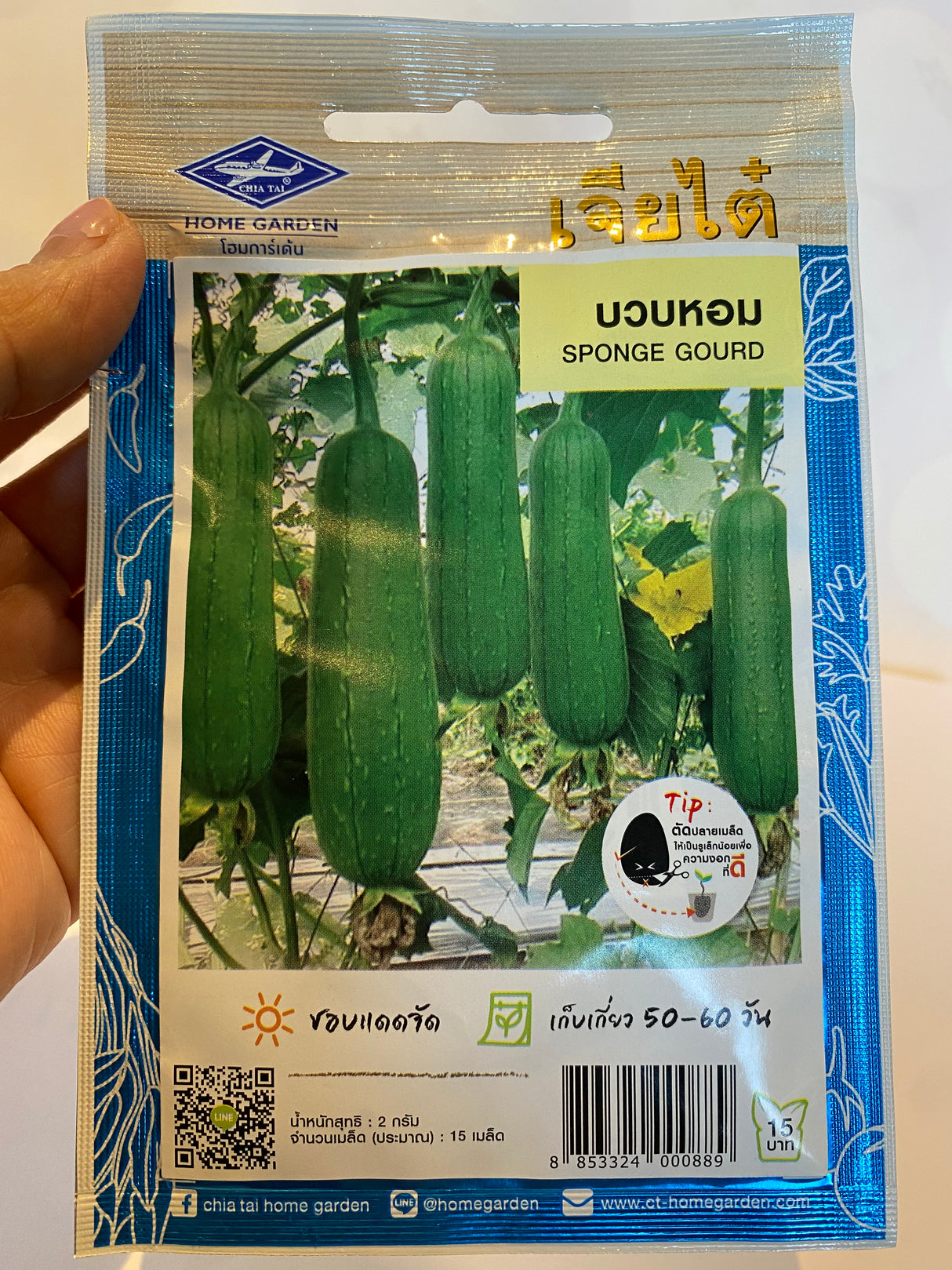 บวบหอม-เมล็ดมะระฟองน้ำ