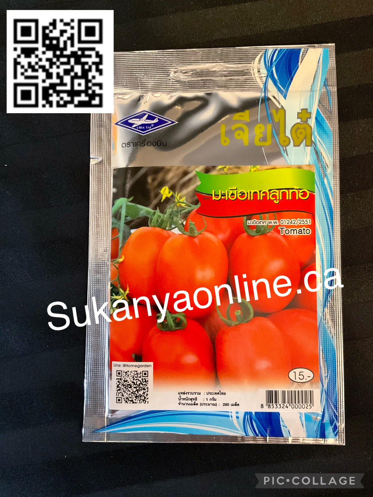 มะเขือเทศลูกท้อ-Graine de tomate