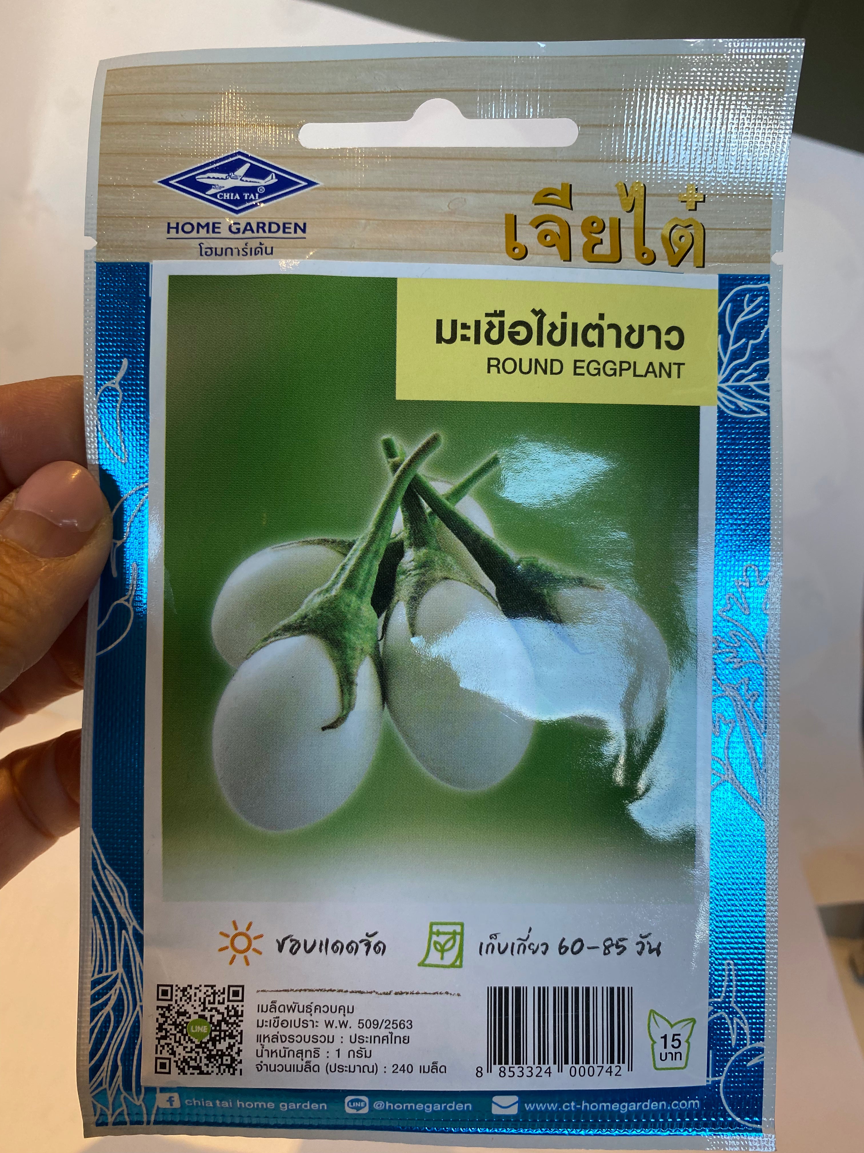 มะเขือไข่เต่าขาว- Round Eggplant seed
