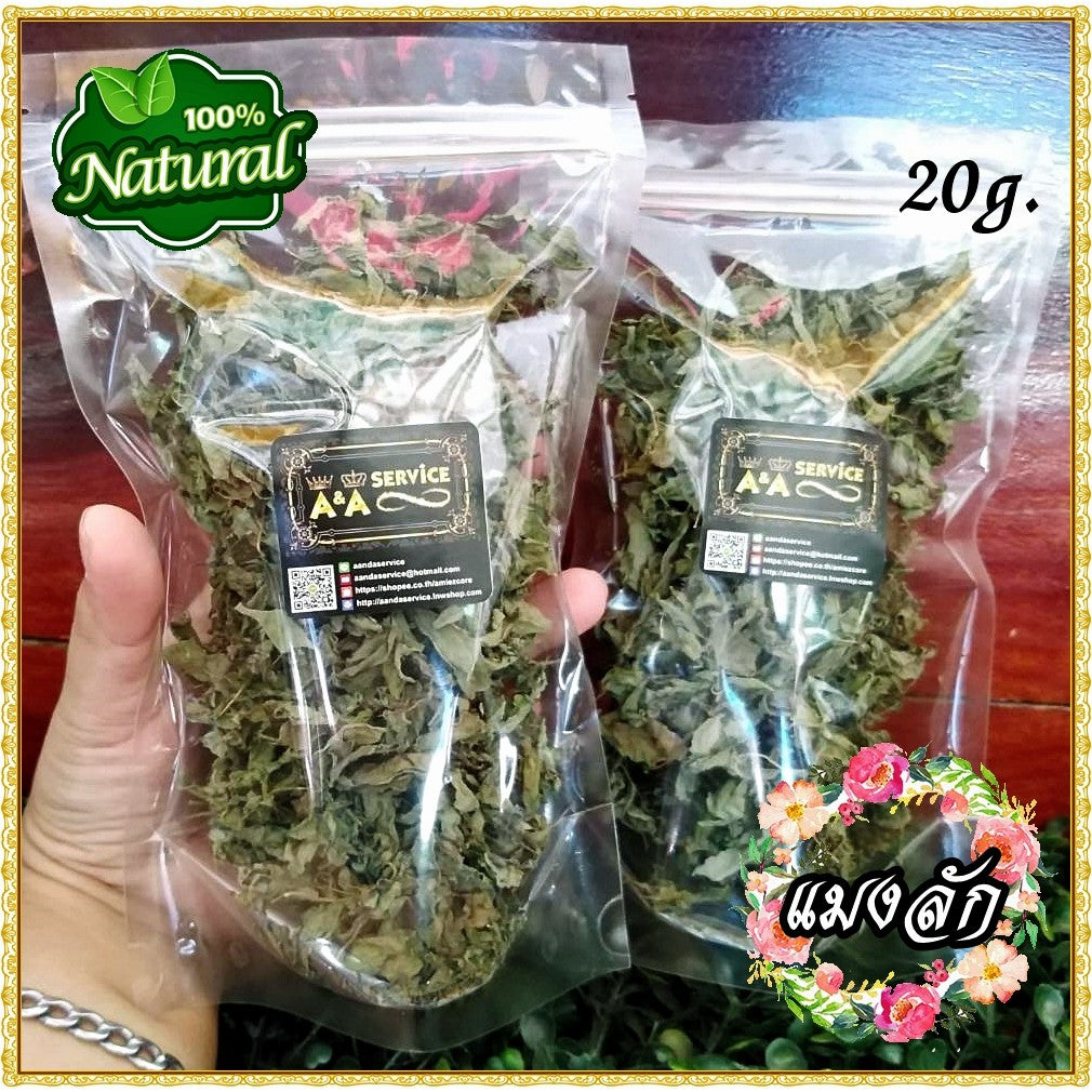 ใบแมงลัก