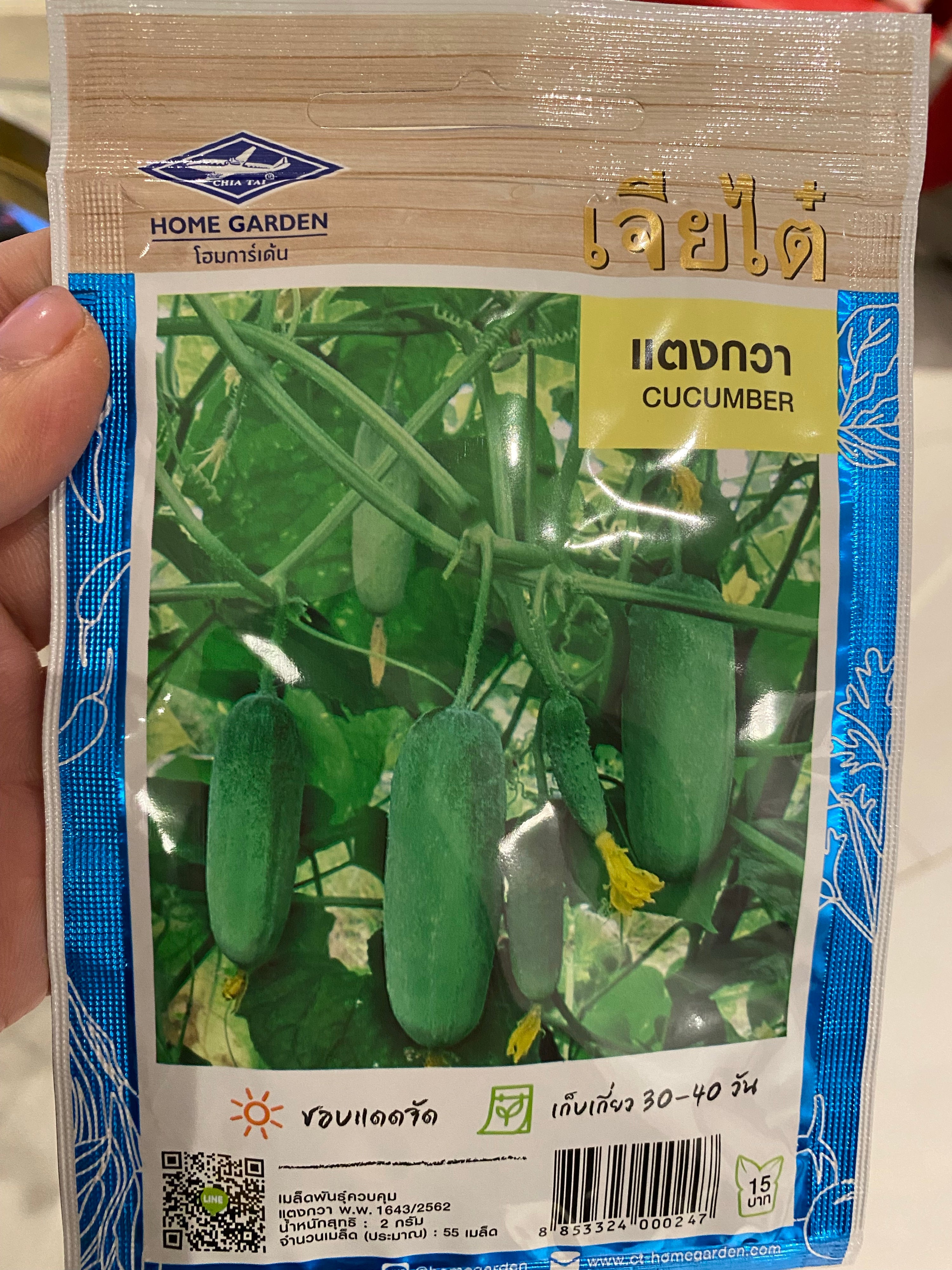 แตงกวา-Cucumber seed